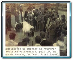III Combravet